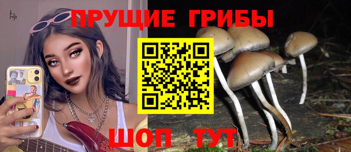 Галлюциногенные грибы Magic Shrooms  Вход с VPN  Псилоцибиновые грибы мухоморы  купить наркоту  Кингисепп 
