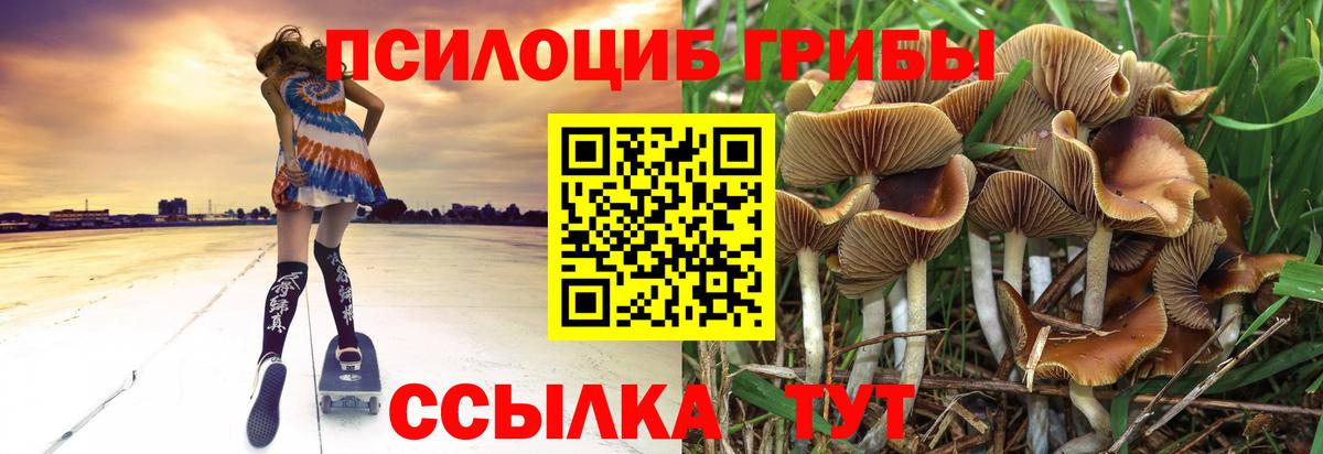 Галлюциногенные грибы MAGIC MUSHROOMS Кингисепп